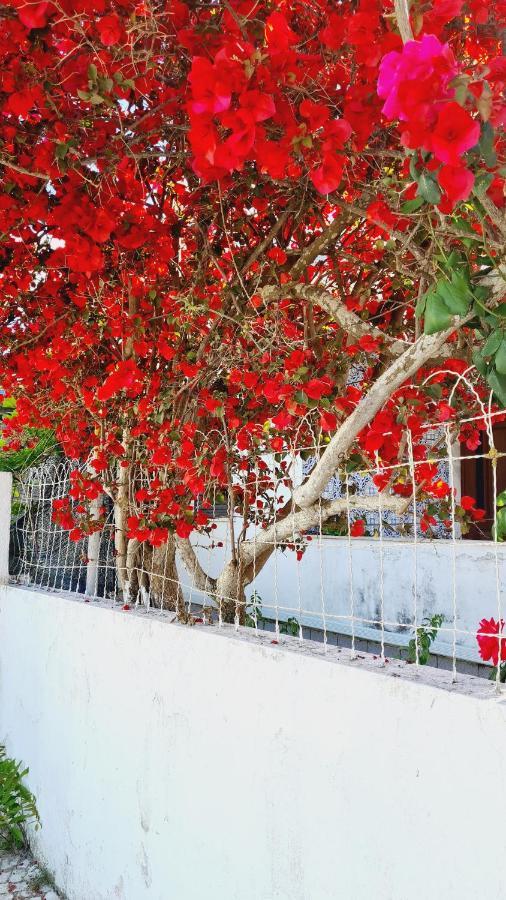 Arrabida Cozy House Palmela Exterior foto
